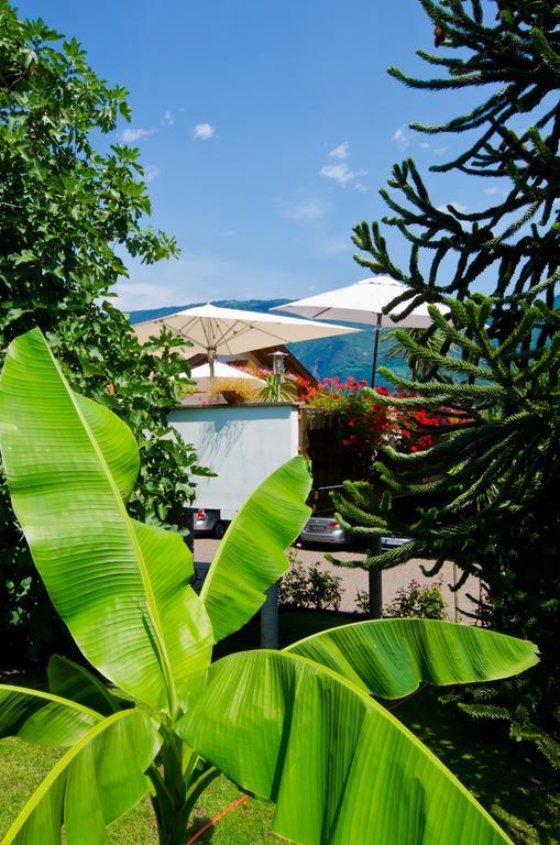 Hotel & Residenz Traubenheim Налес Екстериор снимка